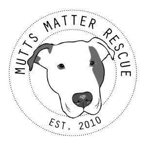 Mutts Matter Rescue, Featured Local Voice from Vienna Patch