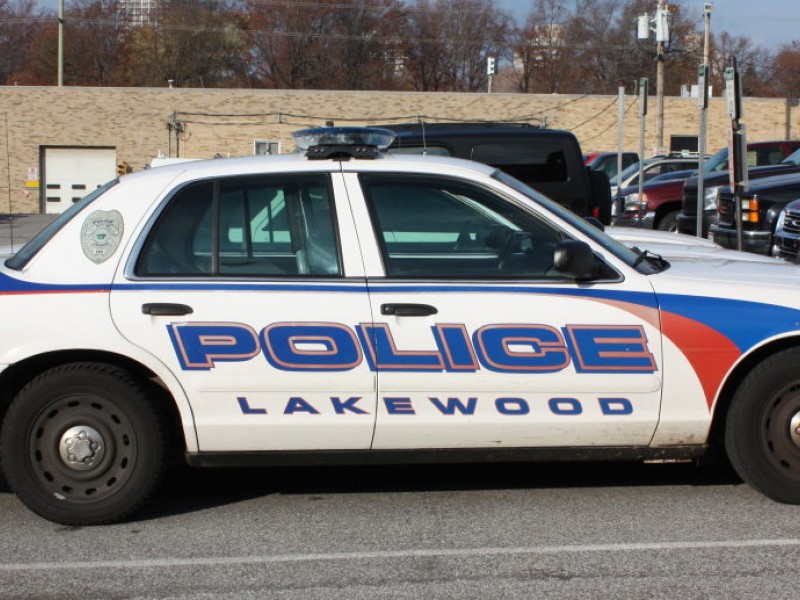 Police Blotter Coyote Seen Prowling Lakewood Streets Lakewood, OH Patch
