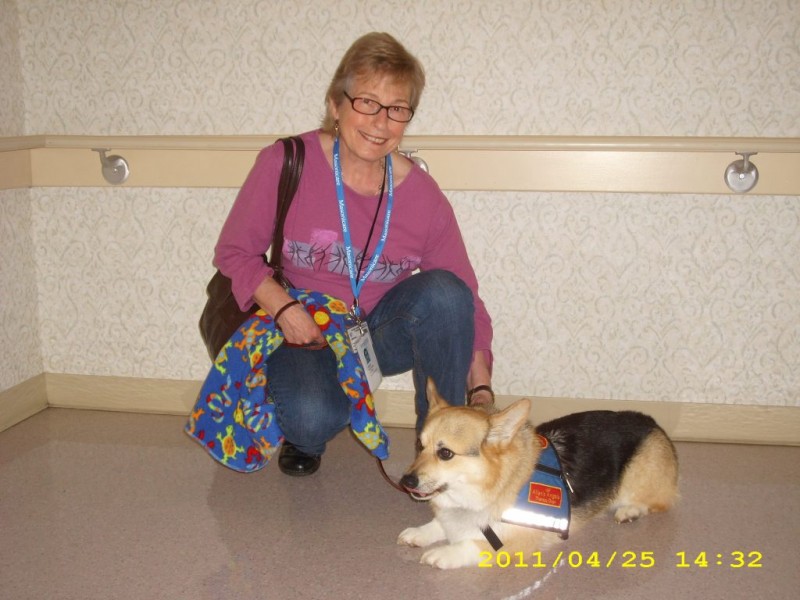 Dog Obedience Training West Hartford Ct Dog Obedience Training West Hartford Ct