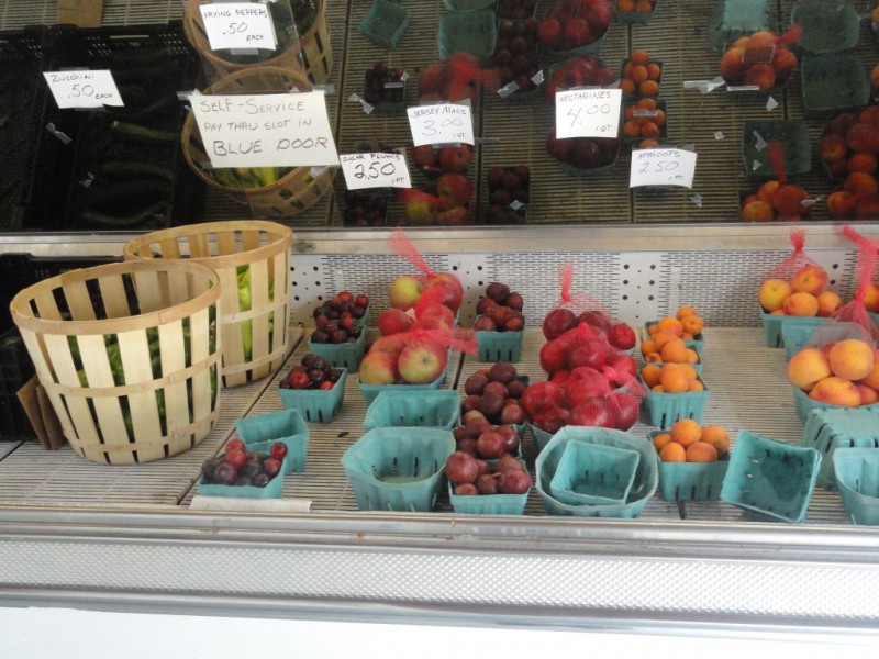 best nj farm stands best nj farm stands