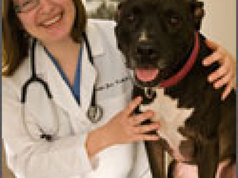 Dr. Jennifer Jones is available for House Call Veterinary Services