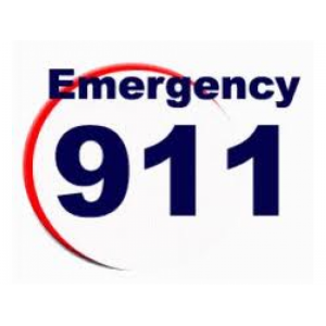 Joliet Woman Kept Calling 911 Til Cops Came to Arrest Her: Police