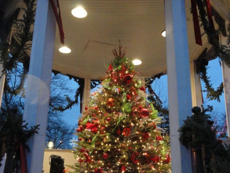 where to find a christmas tree near cleveland heights patch where to find a christmas tree near cleveland heights patch
