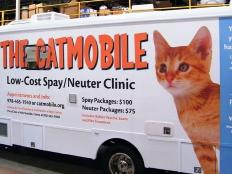 Tufts Works to Spay, Neuter Feral Cats Patch