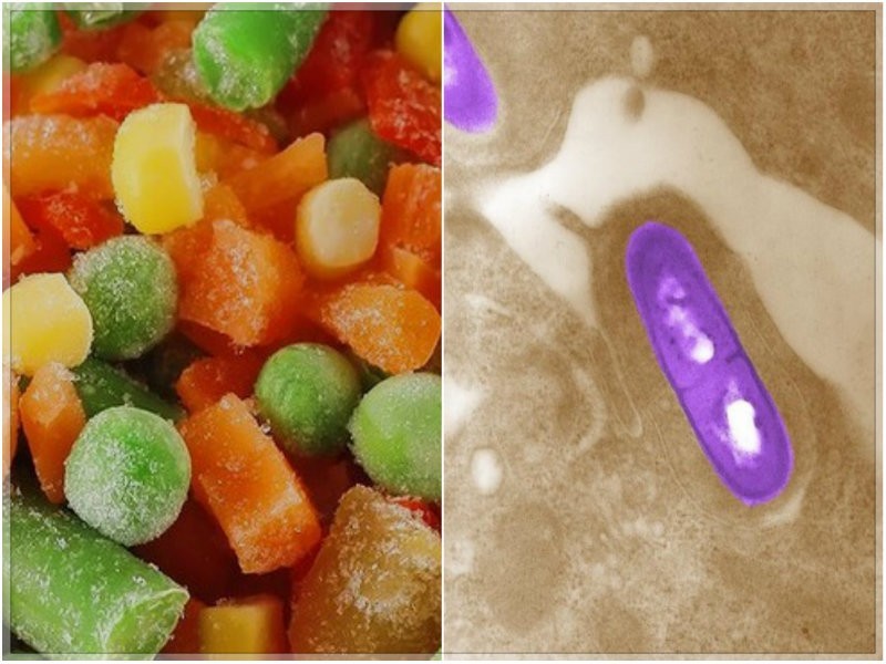Listeria Hysteria: Should You Worry About the Flurry of Food Recalls? - Patch.com