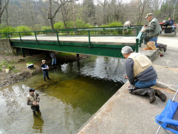 PA Fish And Boat Commission Begins Trout Stocking Pine PA Patch