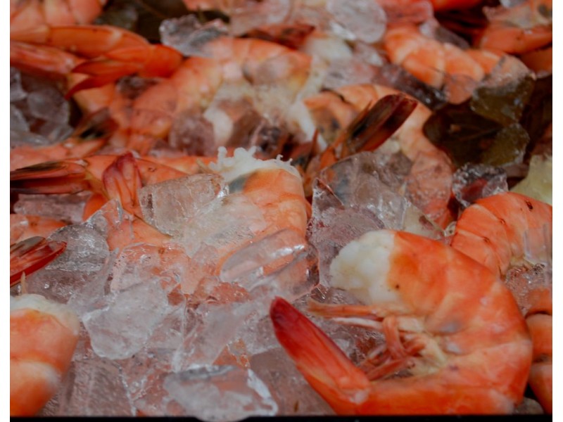 Seafood Festival on Sat. in Point Beach Point Pleasant, NJ Patch