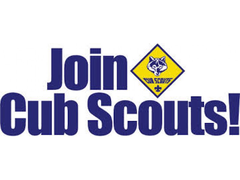 Placement Recruiter Cub Scout Patch