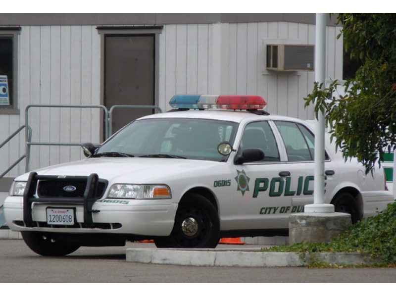 Dublin Police Chief to Leave Post at End of Month Dublin, CA Patch