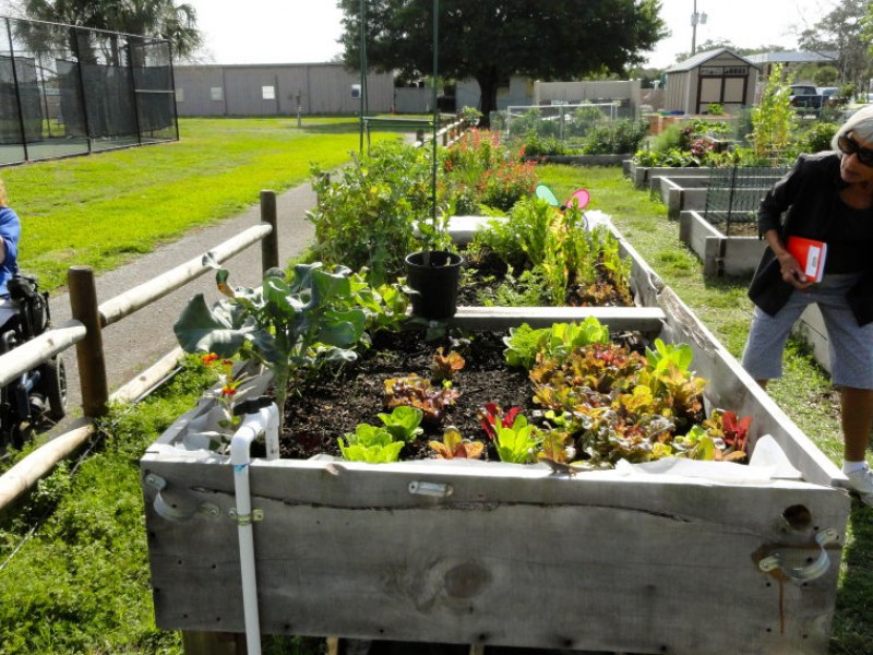 New Garden Beds 'Huge For Incredible