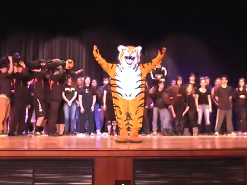 Marple Newtown High School Roars with Tiger Spirit Patch