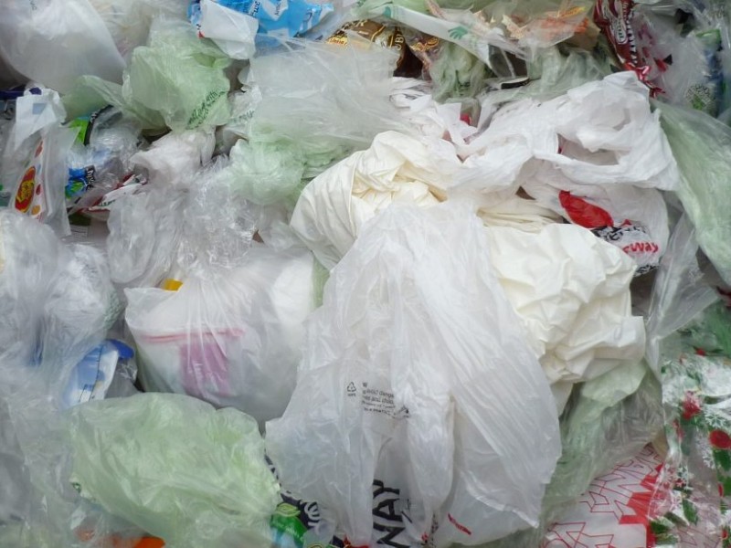 Ban on Plastic & Paper Throwaway Bags Under Spotlight Pinole, CA Patch