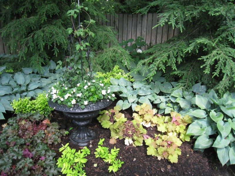 My 'Top 10' Perennials for the Shade Garden Town And Country, MO Patch