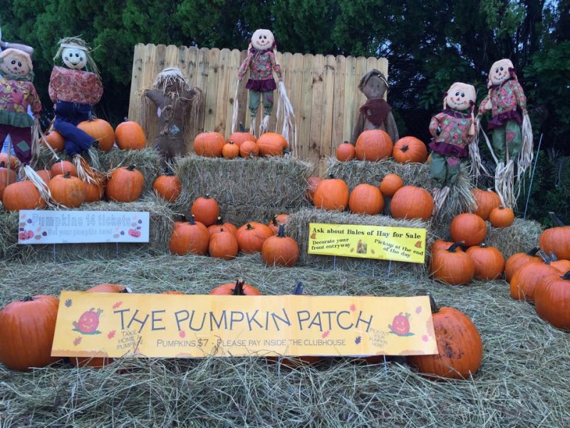 The Pumpkin Patch Fall Festival