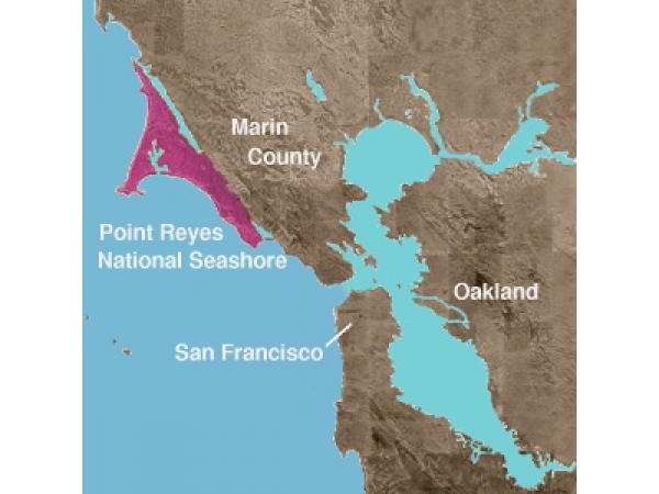 Fisherman Drowns in Coastal Marin