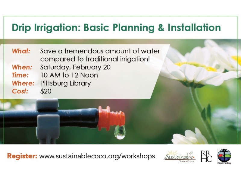 Drip Irrigation Basic Planning and Installation Walnut Creek, CA Patch