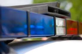 Report: East Providence Man Killed Mother's Cat to Impress a Girl