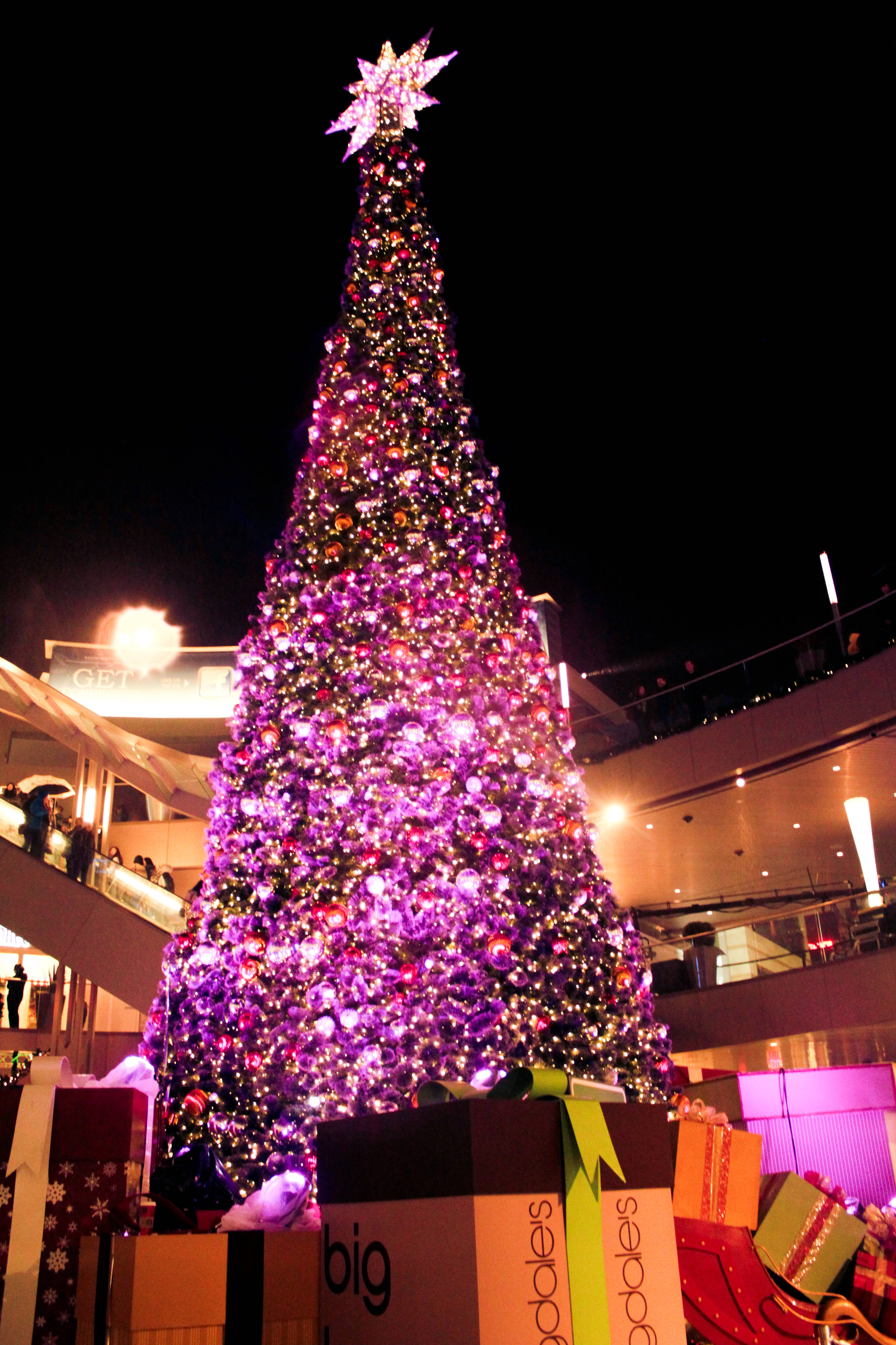 Santa Monica Place Celebrates the Holiday Season with Santa and a