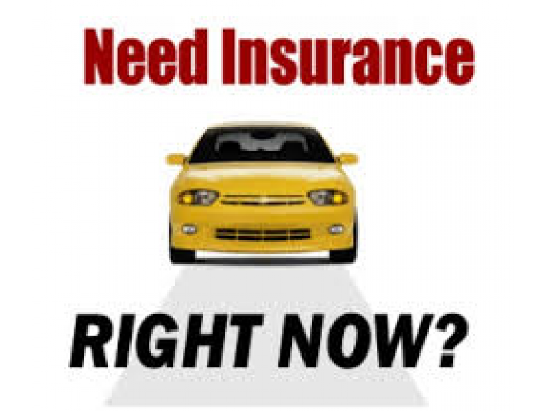 Getting Car Insurance Without Driver License With Affordable Premium ...