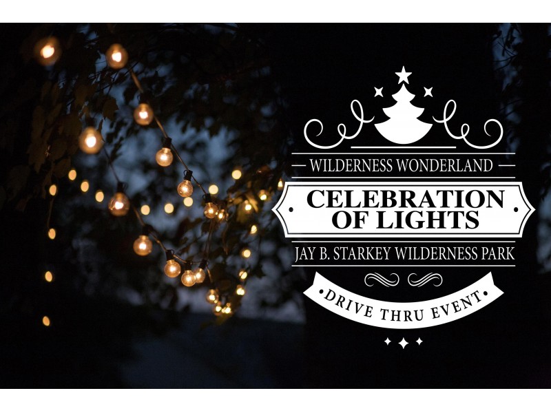 wilderness wonderland celebration of lights is back once wilderness wonderland celebration of lights is back once