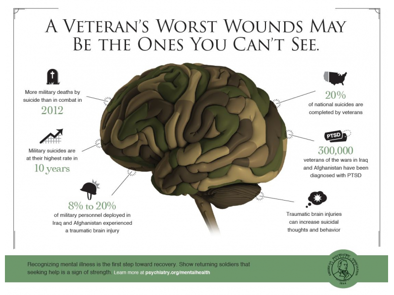 Veterans Day: New Infographic About Veterans Mental Health - Royal Oak