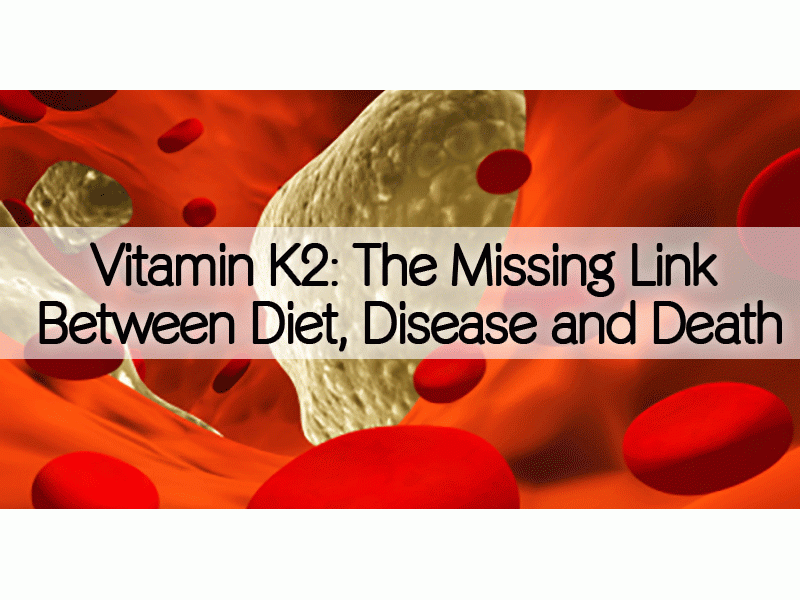 What Is Vitamin K2 & Why Is It So Important? Patch