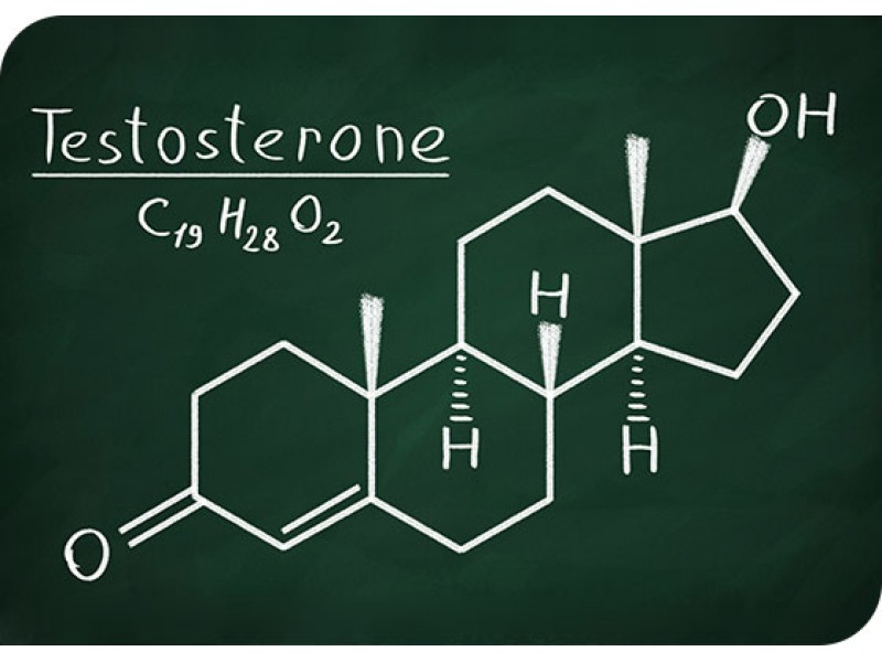 How to Naturally Boost Testosterone Levels | Ramsey, NJ Patch