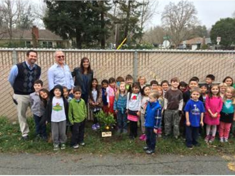 Lemon Trees Donated to Sequoia School In Pleasant Hill Pleasant Hill