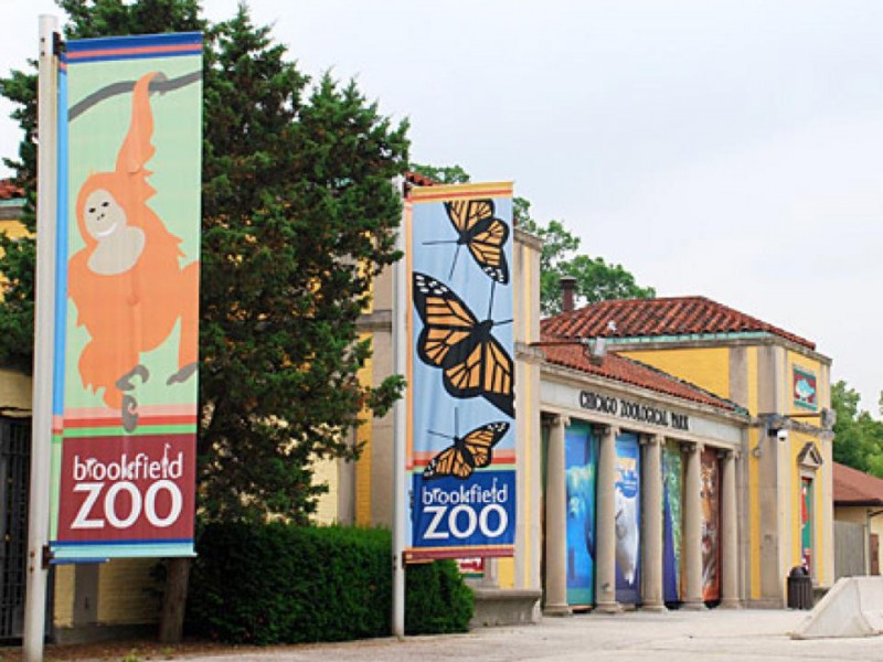 Admission Free to Brookfield Zoo on Martin Luther King Jr. Day