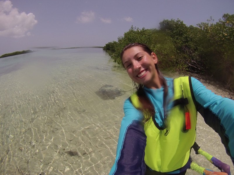 Patch Marine Aquarium 2 6: full version free software download ...