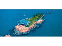 Support Pours in Following Family Tragedy; New Mom Victim of Internet Hoax; Surgeon Removes Wrong Body Part: Nearby News