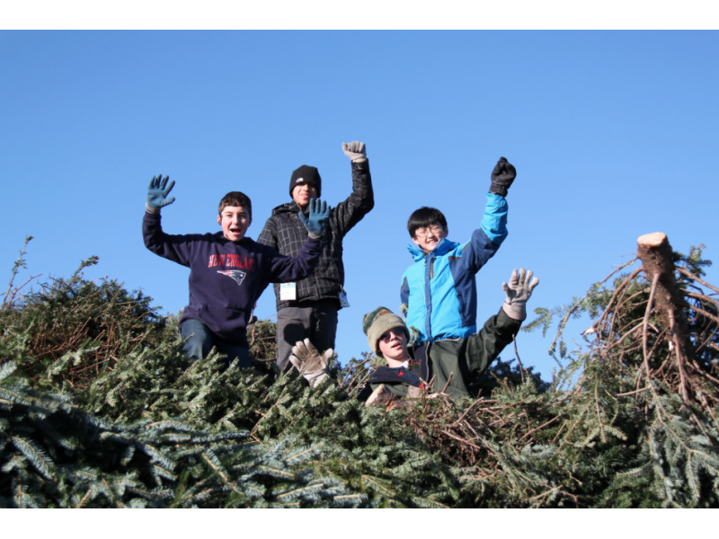 boy scouts hold christmas tree pickup fundraiser boy scouts hold christmas tree pickup fundraiser