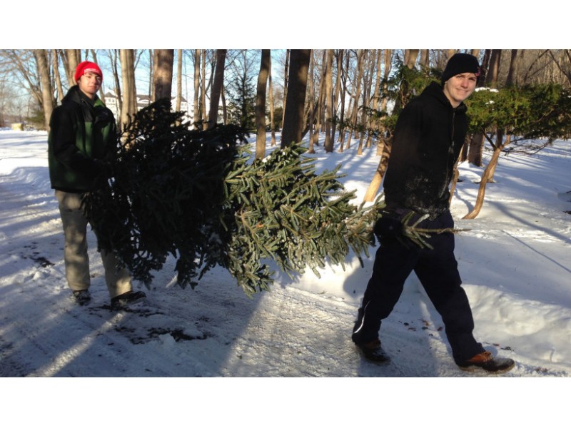 hingham boy scouts to hold christmas tree pick up patch hingham boy scouts to hold christmas tree pick up patch