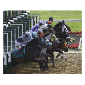 Preakness 2016: 2 Horses Die in Early Races