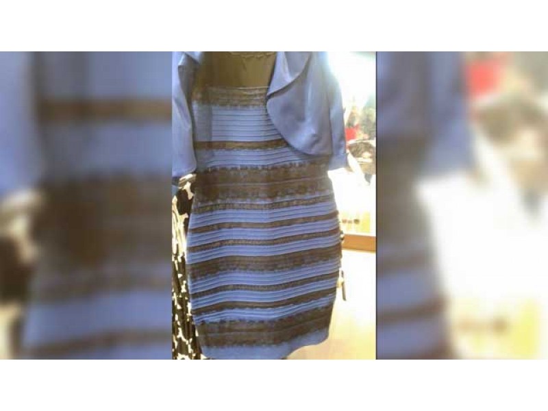 Wellesley Neuroscientist Weighs In on Dress Color Debate Wellesley