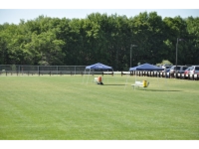 Download free software The Long Valley Patch