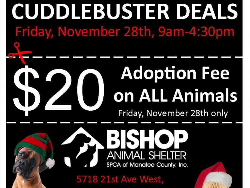 Black Friday Adoption Special at Bishop Animal Shelter - Bradenton, FL