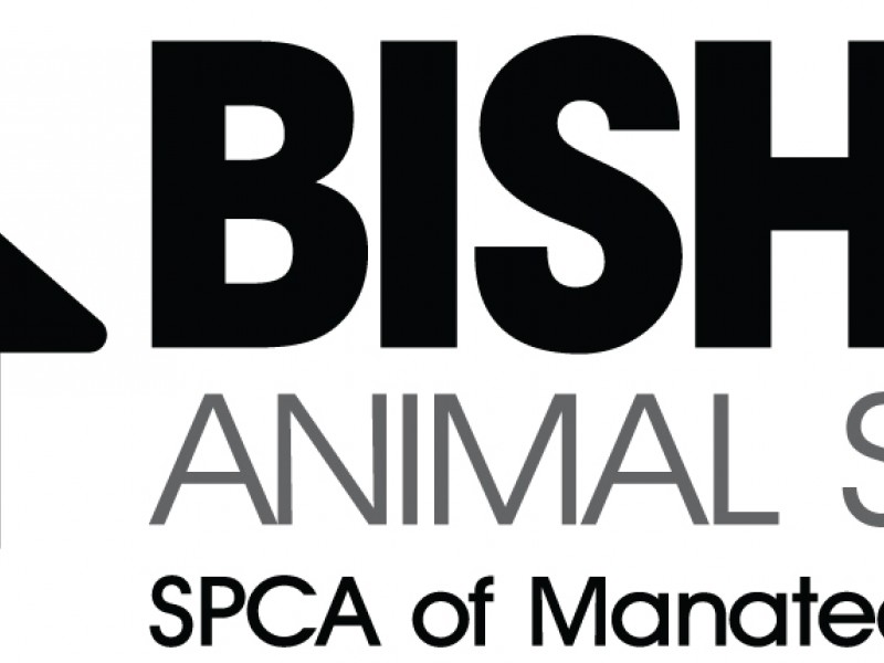 Black Friday Adoption Special at Bishop Animal Shelter - Bradenton, FL