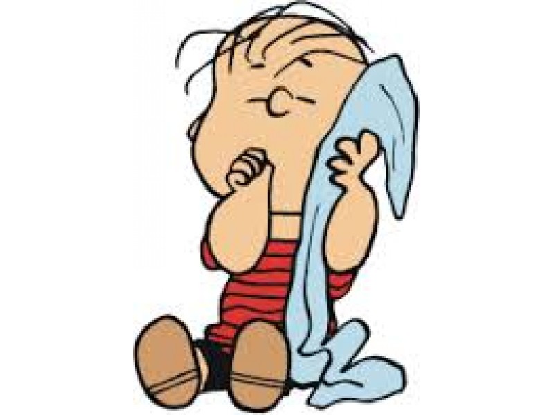 Project Linus Blankets Riverhead, NY Patch