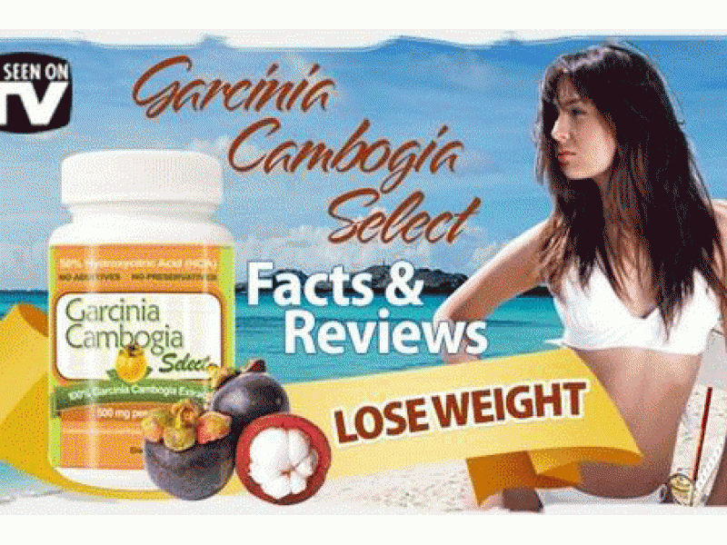 Garcinia Cambogia Fruit Inserts High Concentration of HCA in