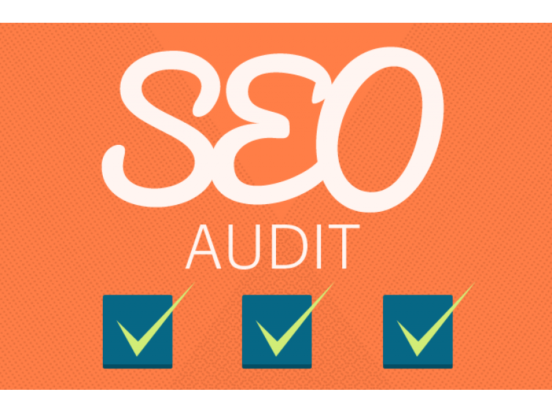 Know How To Perform Your First SEO Audit New Tampa, FL Patch