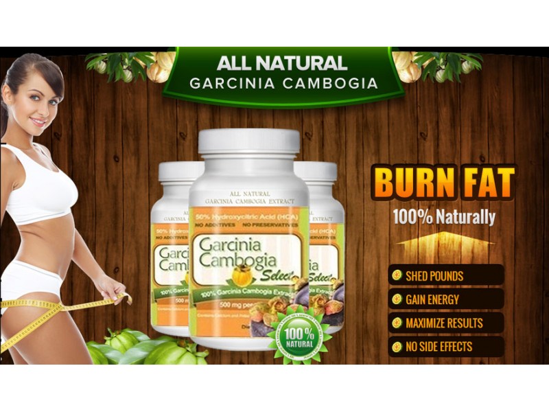 garcinia cambogia dr oz show
