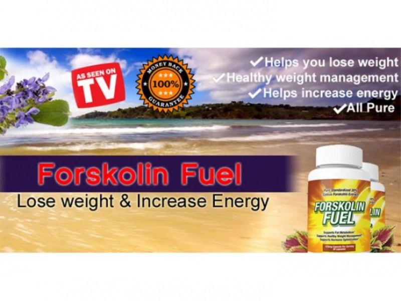 Pure Forskolin Extract Fuel Arrives - Dr Oz Pure Extract has Great