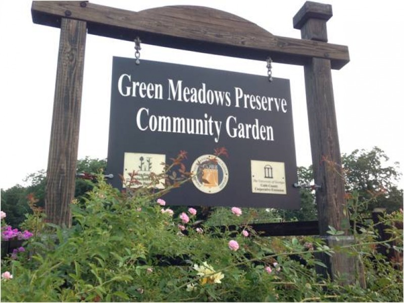 Family Fun Day at Green Meadows Preserve in West Cobb with UGA Cobb