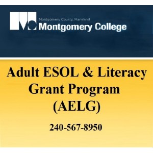 Adult Literacy Grant 87