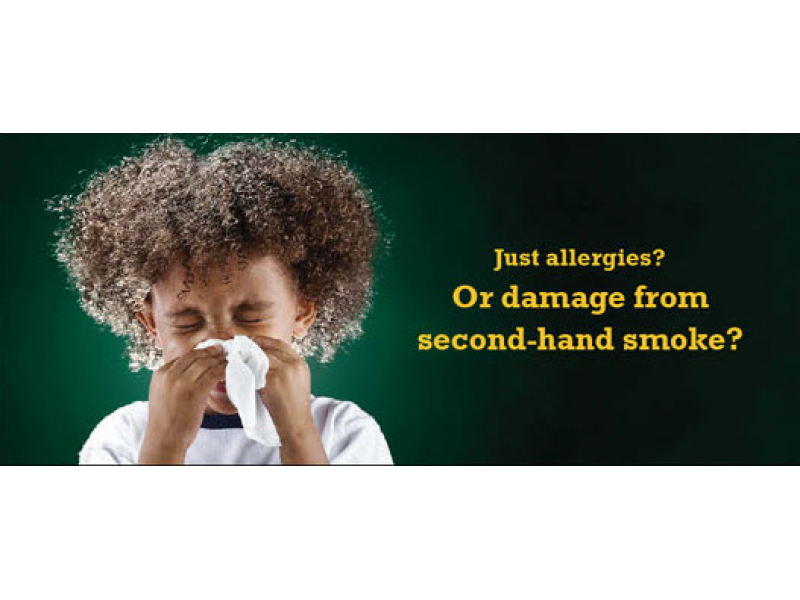 What You Need to Know About Childhood Smoke Allergies? Newton, MA Patch
