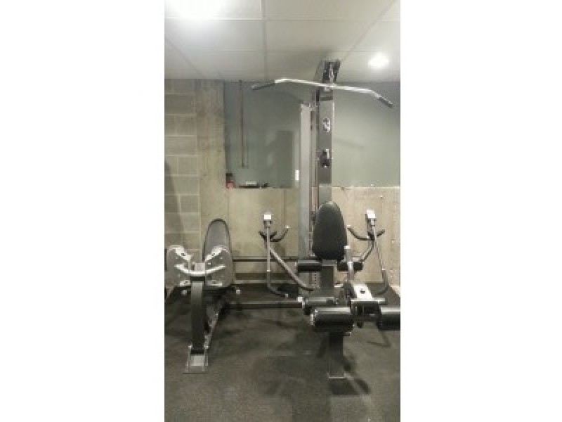HOIST FITNESS SYSTEM hoist fitness system: