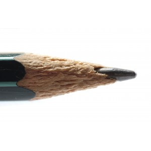 Somerville Census PSA: See Why Poll Lines are So Long