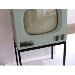 Straight Outta Newton: Famous Faces from Your Hometown