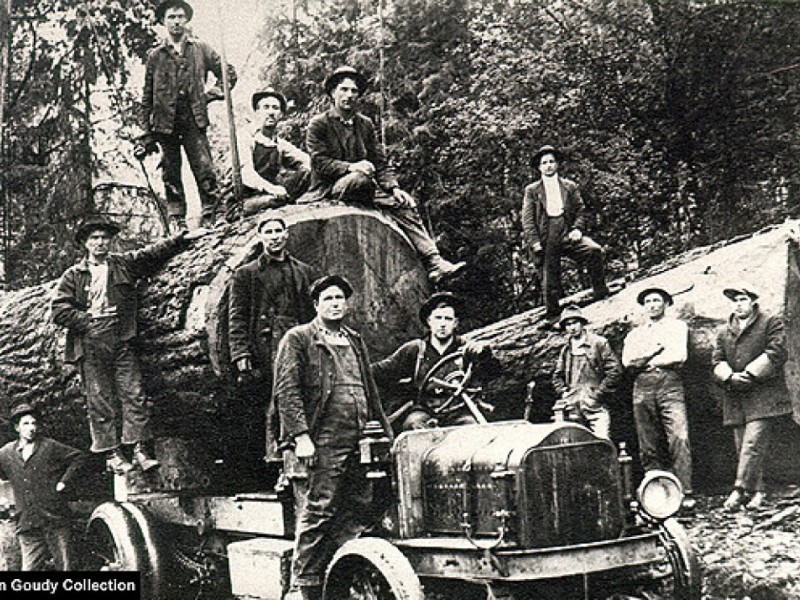 A Short History of Logging and Lumber in Enumclaw Enumclaw, WA Patch
